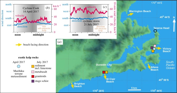 Figure 2.