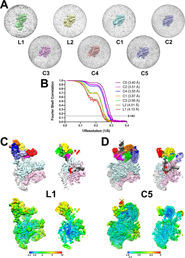 Figure 2—figure supplement 2.