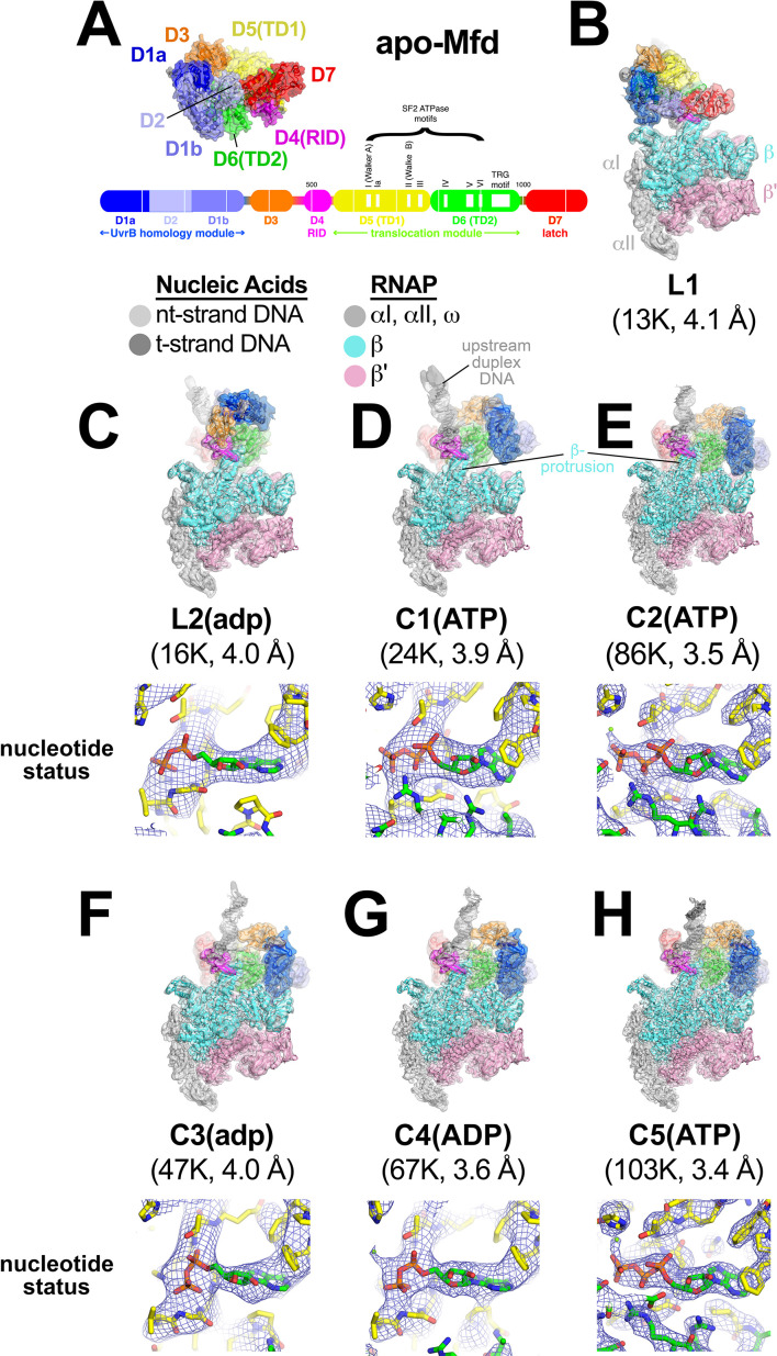 Figure 2.