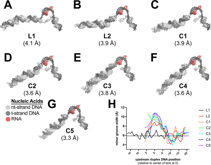 Figure 2—figure supplement 3.