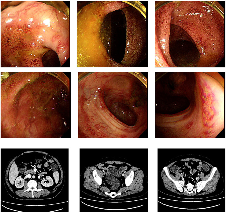 Figure 1