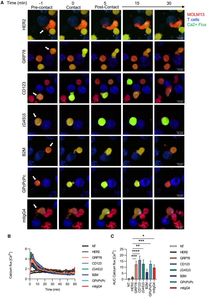 Figure 3