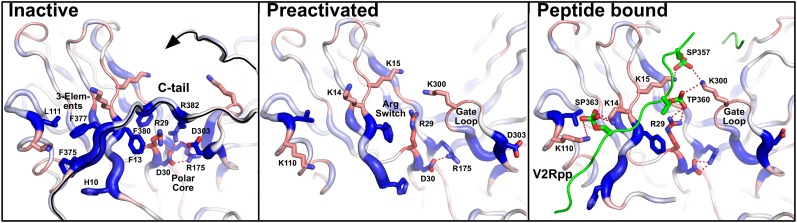 Fig. 3.