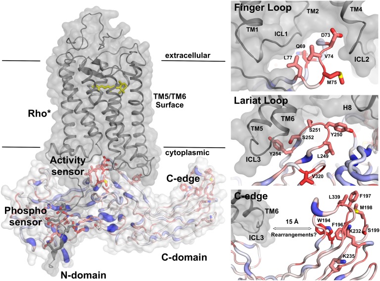 Fig. 4.