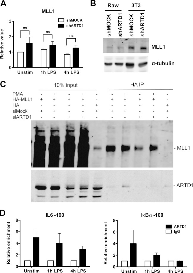 FIG 6