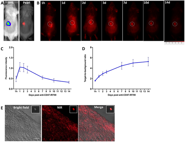 Figure 3.