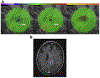 Fig. 4.