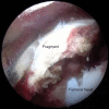 Figure 4: