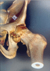 Figure 2: