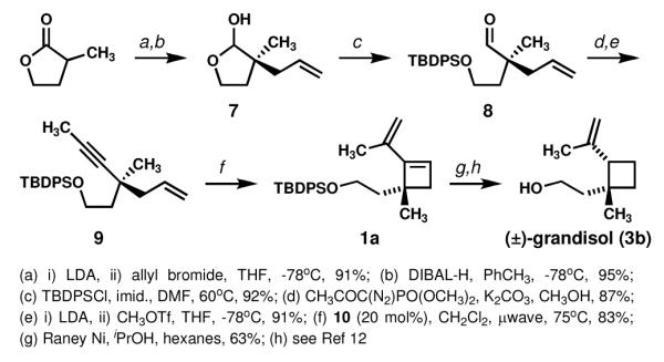 Scheme 3