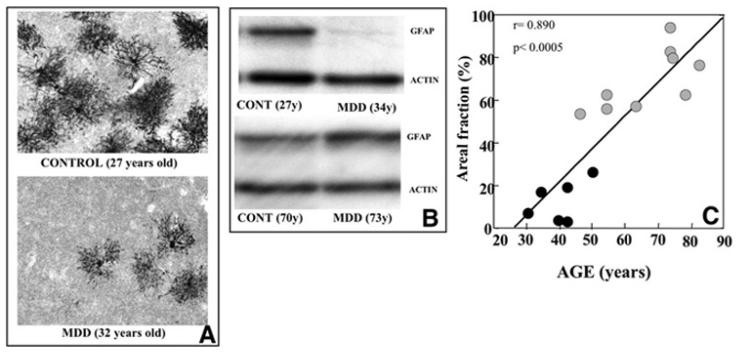 Fig. (3)