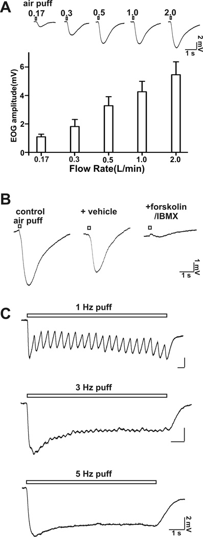 Figure 8