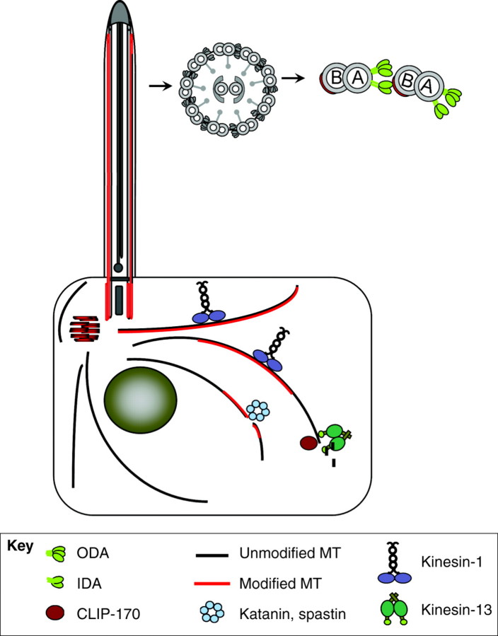 Fig. 2.