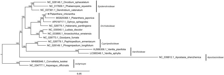 Figure 1.