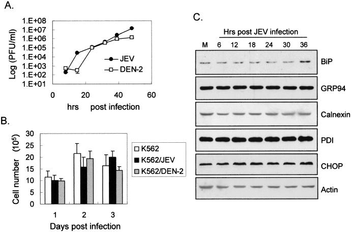 FIG. 6.