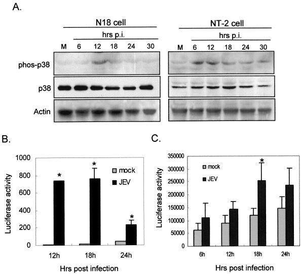 FIG. 7.