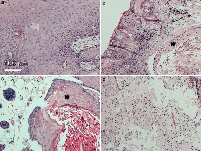 Fig. 7