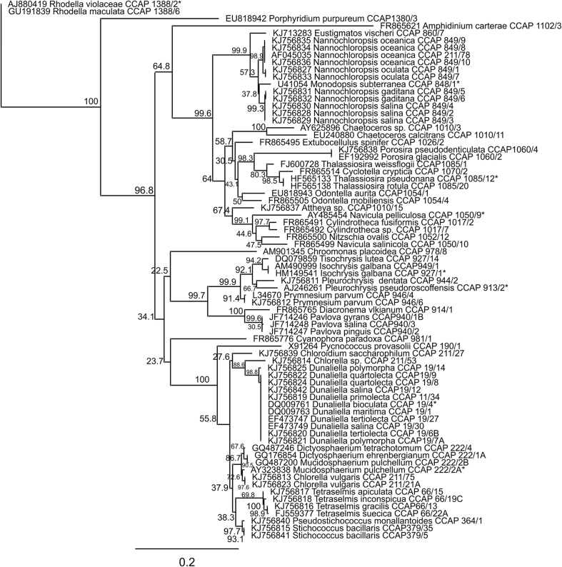 Figure 2