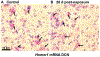 Figure 9: