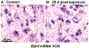 Figure 6: