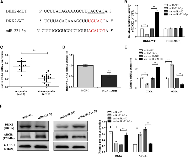 Figure 5