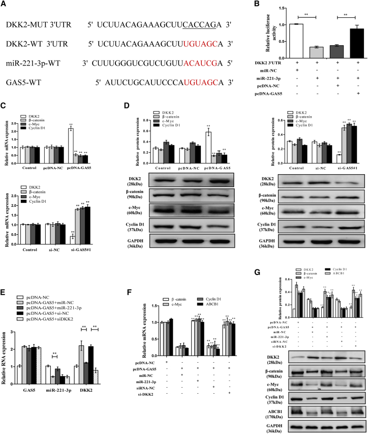 Figure 6