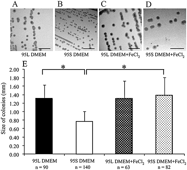 Fig. 9