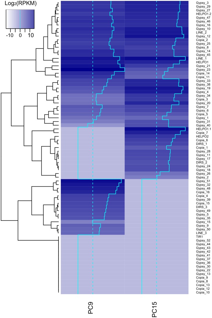 Fig 5