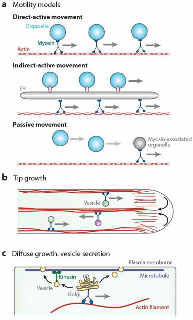 Figure 3: