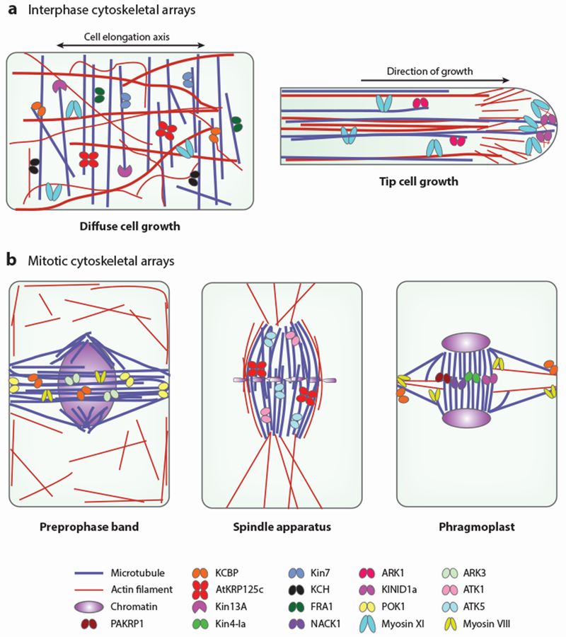 Figure 2: