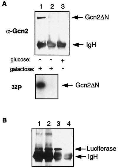 FIG. 8