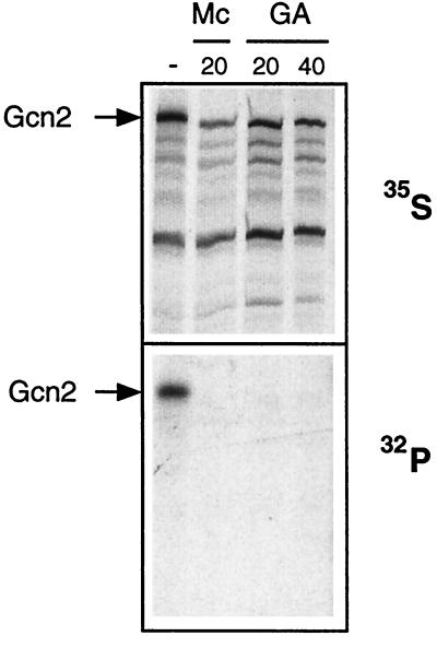 FIG. 5