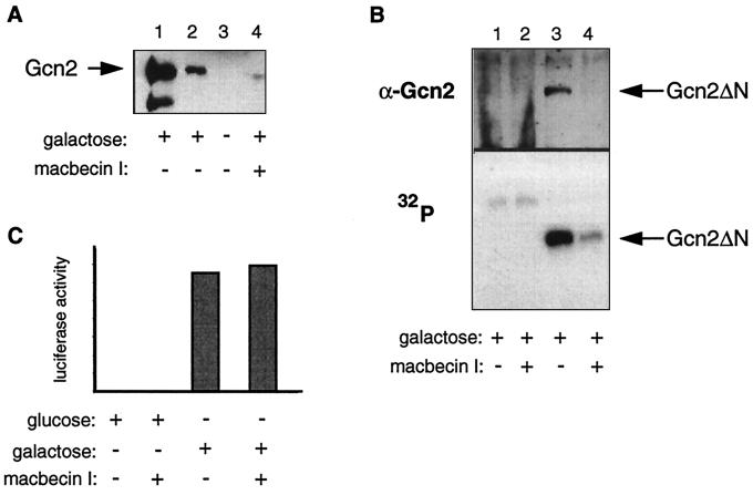 FIG. 7