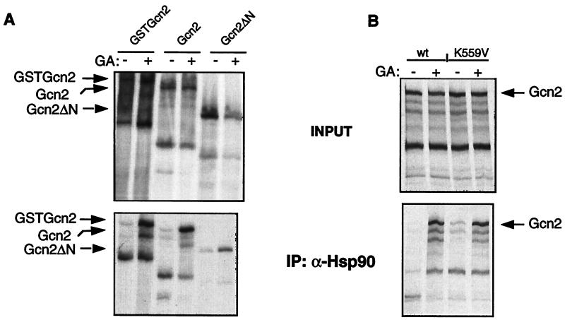 FIG. 6