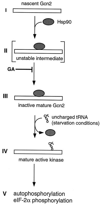 FIG. 9