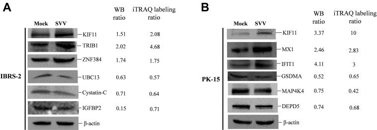 Fig. 4