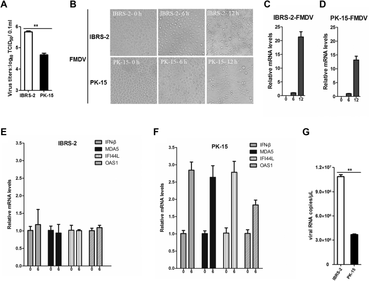 Fig. 6