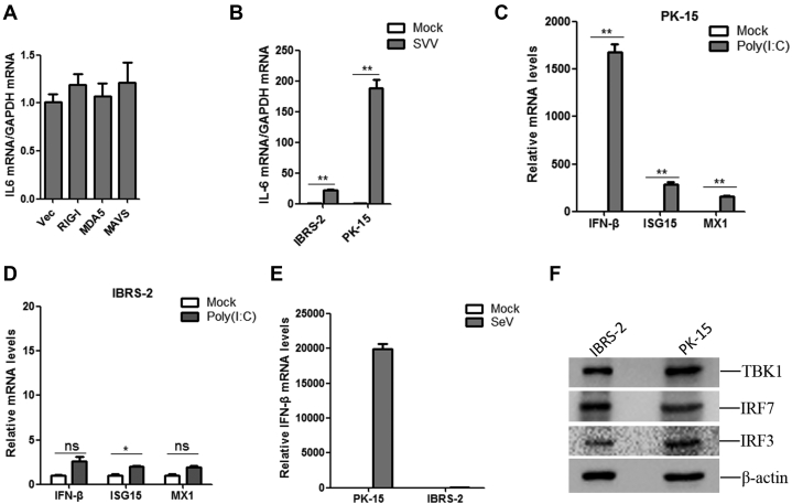 Fig. 10