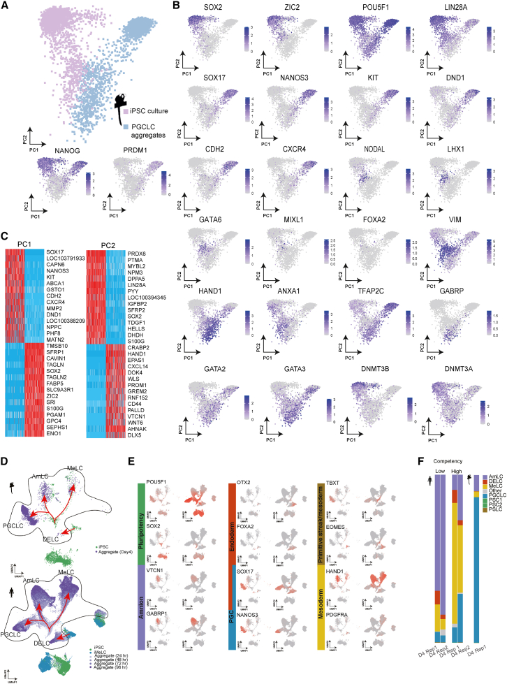 Figure 2