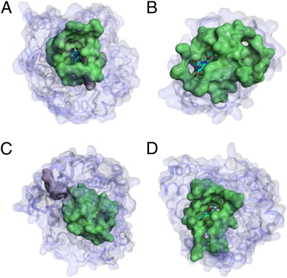 Fig. 5.