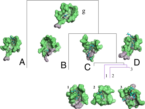 Fig. 3.