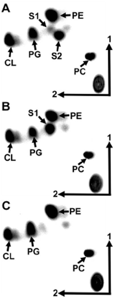 Fig. 3