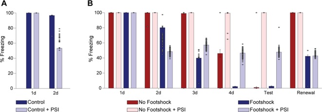 Figure 5—figure supplement 1.