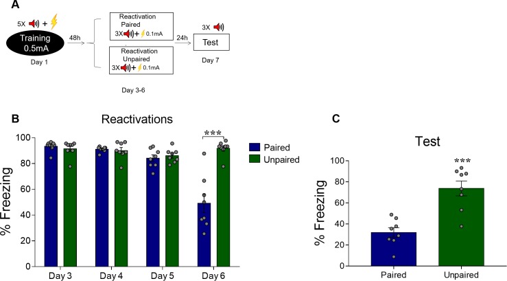 Figure 1—figure supplement 4.