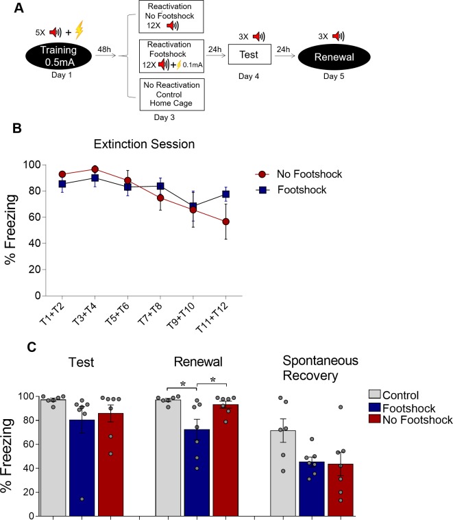 Figure 4—figure supplement 1.