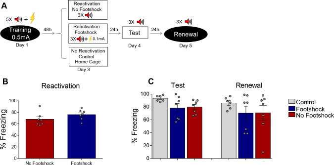 Figure 1—figure supplement 2.