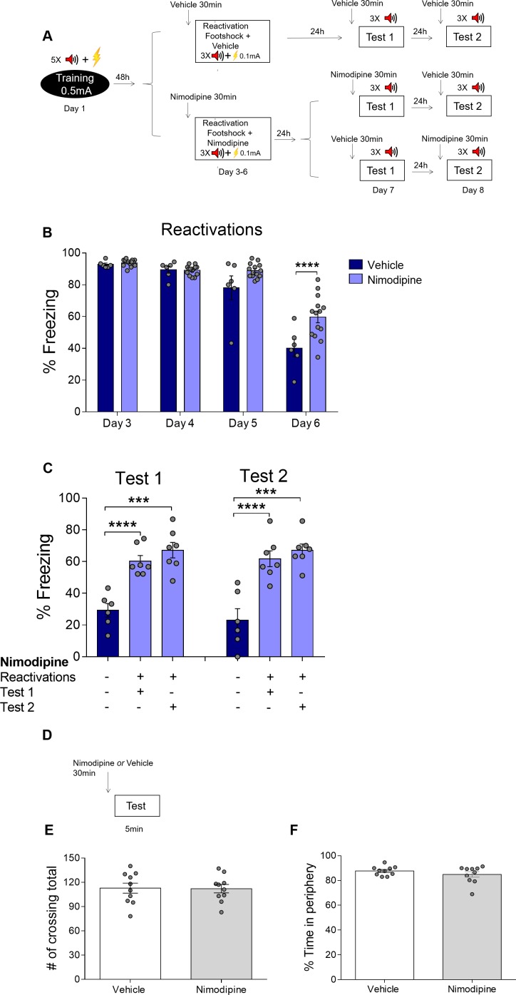 Figure 4—figure supplement 2.