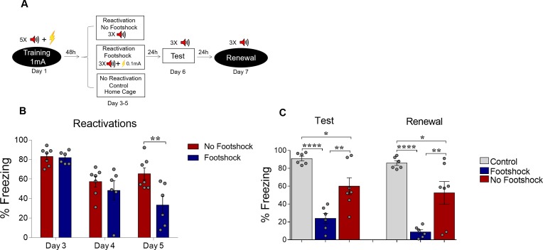 Figure 2—figure supplement 1.