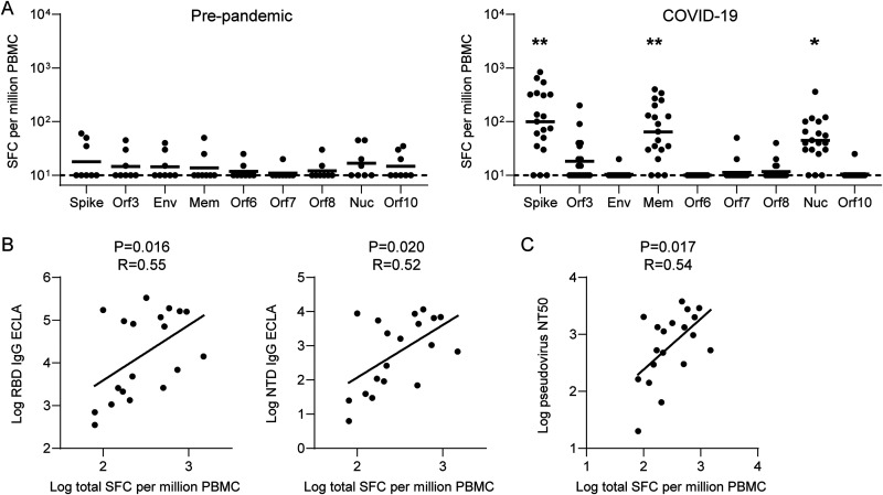 FIG 3