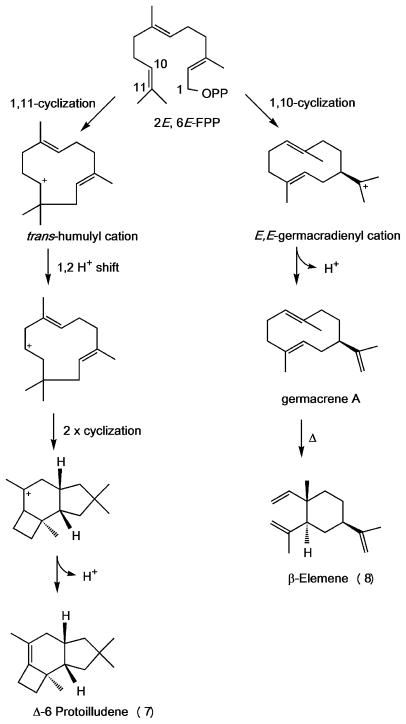 Scheme 2